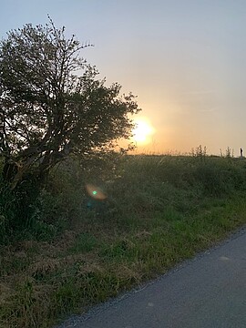 Banner 09.09.26 Trauerspaziergang am Abend