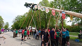 Banner Maibaum Fest