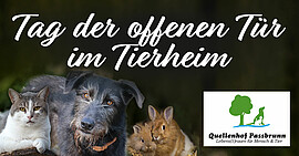 Banner Tag der offenen Tür
