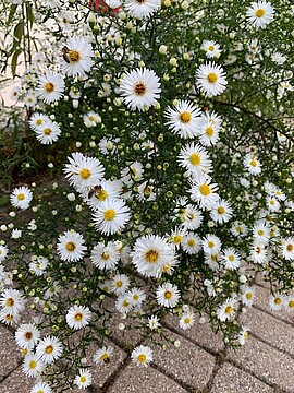 Banner Hospizbüro Landau geöffnet - neue Adresse Oberer Stadtplatz 16