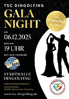 Logo Gala Night - Winterball des Jahres